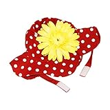 JamieRaeHats SH-REDD-YELD 2-4Y