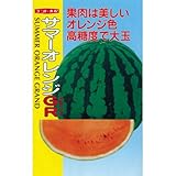 スイカ 種 【 サマーオレンジGR (グランド) 】 種子 小袋（約8粒）