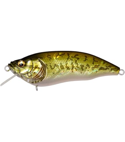 Amazon.co.jp: メガバス(Megabass) ルアー DEEP-X 100 LBO(ディープX Amazon.co.jp: メガバス(Megabass) ルアー DEEP-X 100 LBO(ディープX