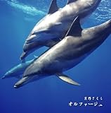 �I���t�@�[�W��