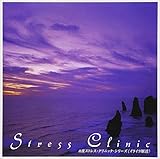 ���g �X�g���X�E�N���j�b�N�E�V���[�Y(1)-�C���C������-