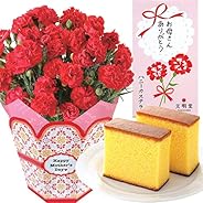 赤カーネーション5号鉢 文明堂カステラ 花とスイーツ 花鉢 母の日ギフト