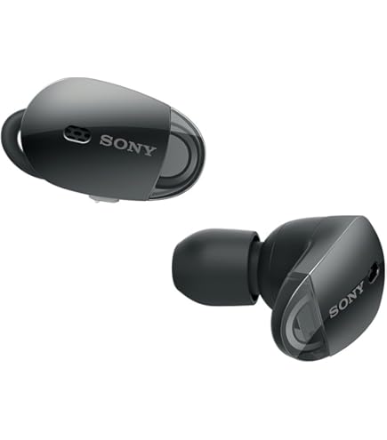 Amazon.co.jp: ソニー(SONY)【WF1000XM5 ブラック と NW-A307