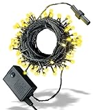 テルノン イルミネーション ライト LED 100球 ストレートタイプ 10m メモリー 機能 内蔵 コントローラー 付 10連結 可能タイプ 【AD&C TORONIC】（ シャンパン ゴールド ）