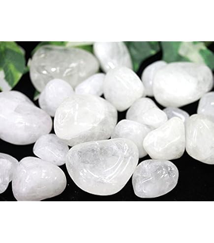 Amazon.co.jp: 白菊562g 菊花石 菊紋石 小菊石 花紋石 原石 鑑賞石