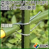 第一ビニール 菜園クロスバンド 10P [径19-22兼用]