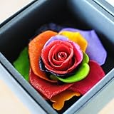 プリザーブドフラワー ダイヤモンドローズ セブンラック