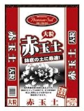 大宮グリーンサービス プレミアムソイル 赤玉土 大粒 5L