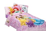 Disney Princesses Palace Pets Fabulous Friends 72 by 86-Inch Reversible Microfiber Comforter, Twin/F