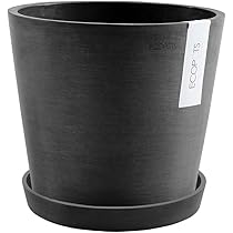 51xA9v0Zo4L._AC_UL210_SR210,