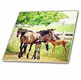 CT _ 192928キャッシー・ピーターHorses – Mares and Foals by Angelandspot – タイル 12" ct_192928_4
