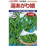 枝豆 種 湯あがり娘（中早生白毛） 小袋（約100粒）