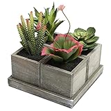 人工ミックス多肉植物with Rustic Brown Woodプランターポット&正方形表示トレイ