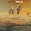 Open Mind: The Best Of Blackfield [Analog]