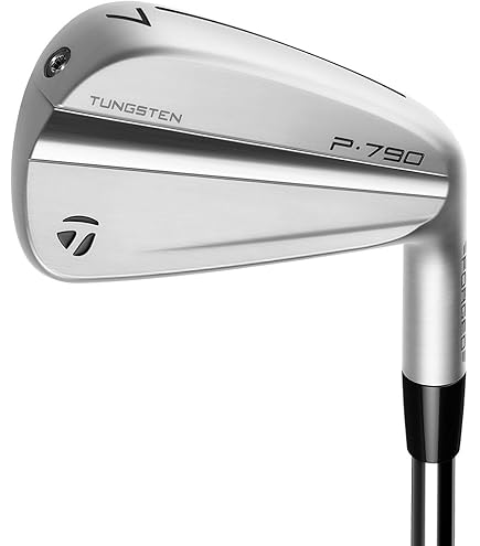 テーラーメイド　P790 (2019） アイアンセット ダイナミックゴールド Amazon.co.jp: Build a Custom TaylorMade 2019 P790 アイアン