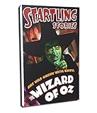 Lord Mischief Entertainment Startling Stories Wall Decor, Wicked Witch, Assorted [並行輸入品]