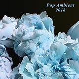 POP AMBIENT 2018 [LP] [Analog]