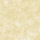Brewster 149-60051 Terra Cotta Peach Texture Wallpaper [並行輸入品]