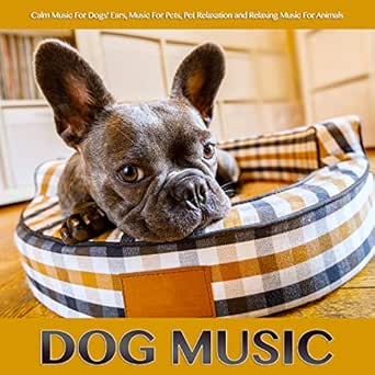 Dog Music Music For Puppies 2025