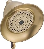 Delta Faucet RP34355CZ Universal Showering Components, Touch-Clean 3-Setting Showerhead, Champagne B