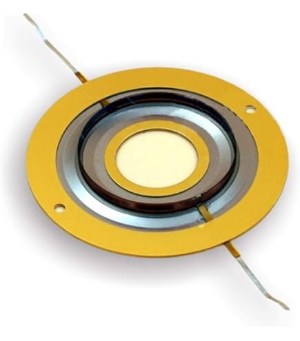 Amazon.co.jp: Lezalic ダイヤフラム 2個 JBL 8Ω D16R2405 2404 2404H