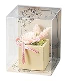 Paseo クリアケース入り プリザーブドフラワー フラワーラテ ピンク 角型 10.5×10.5×H13cm SG-107A