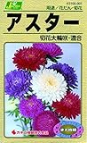 カネコ種苗 草花タネ001 アスター 切花大輪 混合 10袋セット