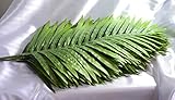 TomYumKung 人工葉 Artificial Leaf Palm Fern Set of 6