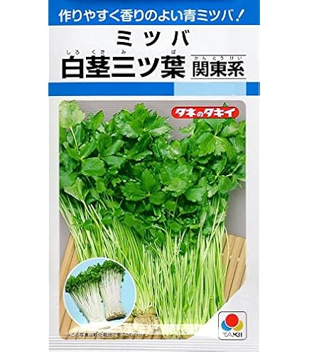 Amazon | 株式会社トーホク みつば 01349 [並行輸入品] | 野菜