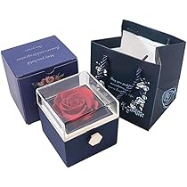 時代もの薔薇のプリントファブリック収納BOX特大かご持ち手付おまけ揃い薔薇ゴミ箱 Amazon｜宝石箱を回転 ジュエリーボックス バラ 永遠の花 ギフト
