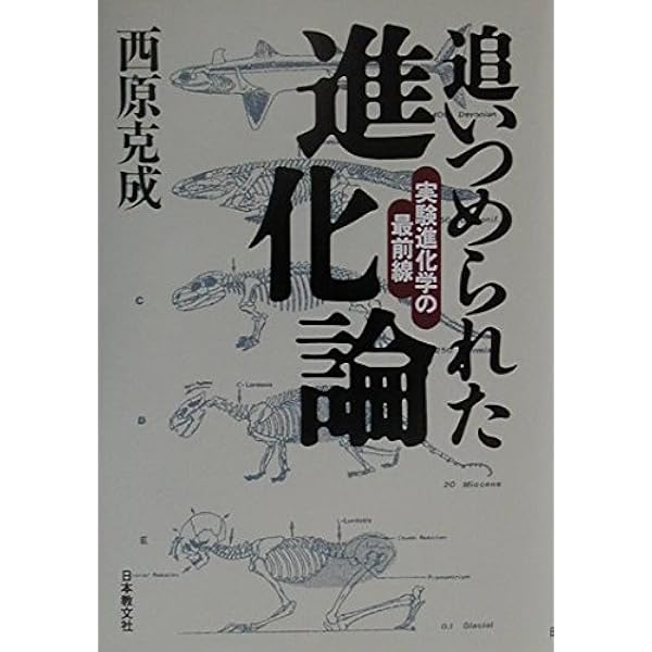生物は重力が進化させた―実験で検証された新しい進化の法則 (ブルー