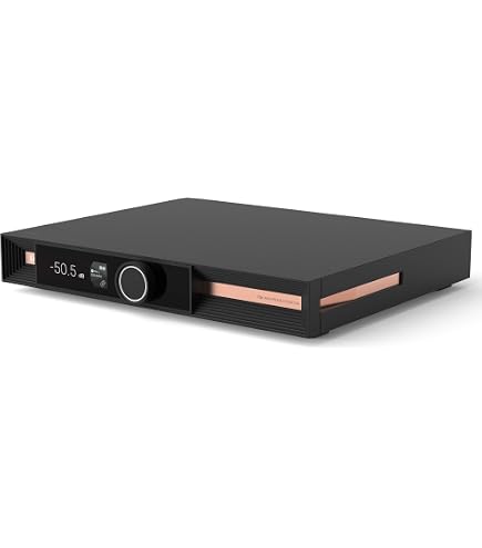 Amazon.co.jp: SMSL VMV D1se2 ハイエンド MQA オーディオ DAC チップ