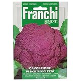 野菜の種 カリフラワー DI SICILIA VIOLETTO 30/29
