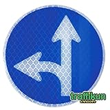 【大蔵製作所】本物と同素材、同デザインのミニチュア道路標識　標識板のみ (指定方向外通行止)