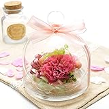 プリザーブドフラワー 花花 アンジーの庭 カーネーション (ガラスドーム 入り) お祝い プチギフト プレゼント ギフト (ライラック ピンク)