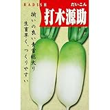 大根 種 【 打木源助 】 種子 小袋（約10ml）