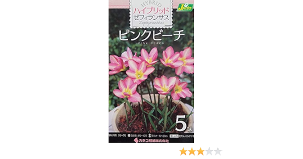 新しいコレクション ゼフィランサス ピンクビーチ ゼフィランサス ピンクビーチ