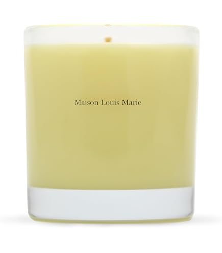 Amazon.co.jp: Cire Trudon Saltaキャンドル (9.5オンス) : ホーム