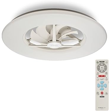 Amazon.co.jp 売れ筋ランキング: シーリングファン の中で最も人気の