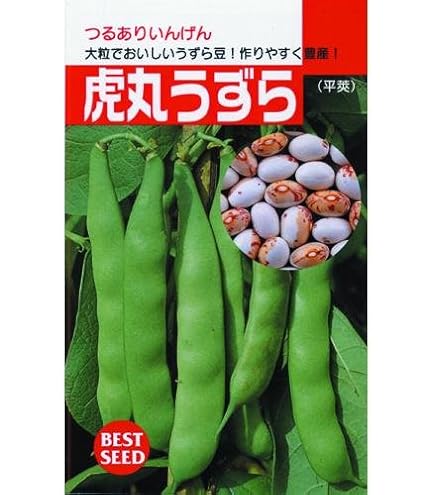 Amazon | 株式会社トーホク インゲン パンダ豆 01500 | 野菜