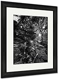 AshleyフレームプリントPurple Petunias、壁アートホーム装飾、ag6401758 40x34 Black Frame 6401758-AFPP1-BB24