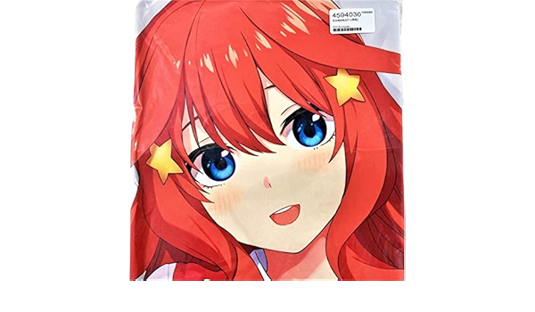 工場直送 Z M Pillows 未来電機 五等分の花嫁 次女 中野二乃 抱き枕カバー フレス製 アクアプレミア エレクトリカル 未開封 匿名配送 21正規激安 Www Marceloimoveisslg Com Br