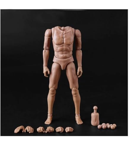 Amazon.co.jp: Worldbox 1/6 スケール フィギュア 男性素体
