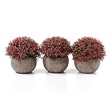 T4U 造花アレンジ ベビーティアーズ 人工観葉植物 インテリア レット プレゼント 3点入り