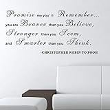 Pop Decors WL-0025-Vb Inspirational Quote Wall Decal Promise Me You'll Remember [並行輸入品]