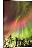 ケビン・スミスプレミアムシックラップキャンバス壁アート印刷題名Northern Lights in the Sky Above Theトニー・Knowles Coastal Trail、アンカレッジ、