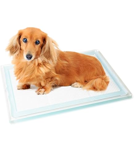 Amazon | ottostyle.jp アクリル トイレトレー 犬 ワイド 滑り止め付
