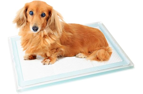子犬用トイレ 小型犬用のオスの犬用のシミュレートされた壁を備えた屋内の犬用トイレメッシュ ピンク 新作商品