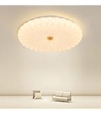 Amazon.co.jp : YOULIN LED シーリングライト 心に咲く蓮の花 星空効果