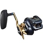 Daiwa Light Game ベイトリール ライトゲーム RX IC(リール)｜DAIWA